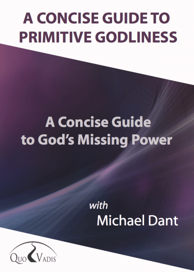 A CONCISE GUIDE TO GODS MISSING POWER By Michael Dant